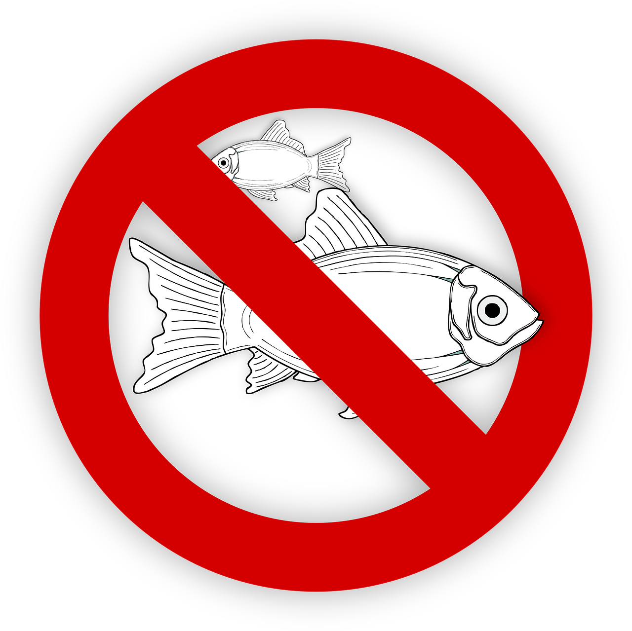 pixabay-995050-9.png